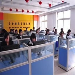 攜手星環藝彩，共創計算機技術培訓新藍海 解析核心加盟優勢